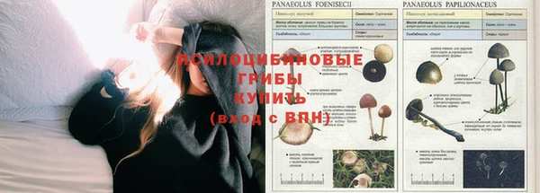 метадон Гусиноозёрск