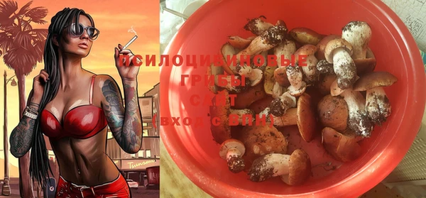 метадон Гусиноозёрск