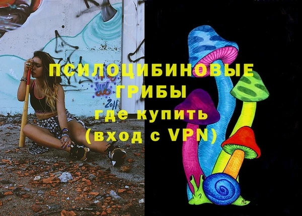 jwh Гусь-Хрустальный