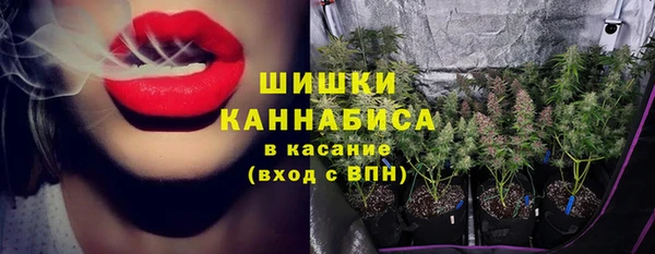метадон Гусиноозёрск