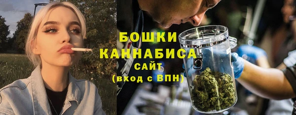 круглые Гусев