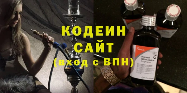 круглые Гусев